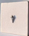 Starstruck earring (Pierced)
